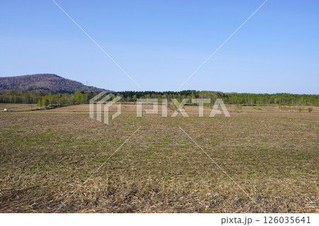 新十津川のそば畑（まだそばはない） 126035641