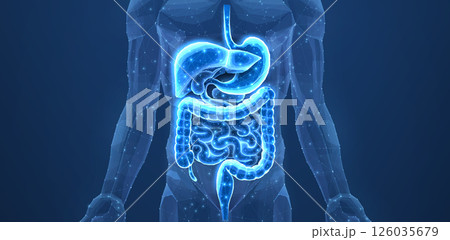 Abstract wireframe intestinal human digestive system. Gut health, bowel disease, gastrointestinal tract. Abstract wireframe intestinal human digestive system. Gut health, bowel disease, gastrointestinal tract. 126035679