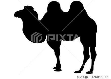 ラクダのシルエットのイラスト素材 ベクター ラクダのシルエットのイラスト素材 ベクター 126036052