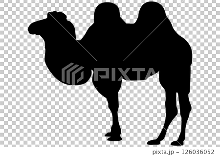 ラクダのシルエットのイラスト素材 ベクター ラクダのシルエットのイラスト素材 ベクター 126036052