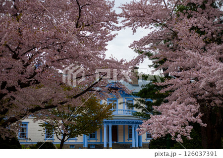 札幌 豊平館 中島公園 札幌 豊平館 中島公園 126037391