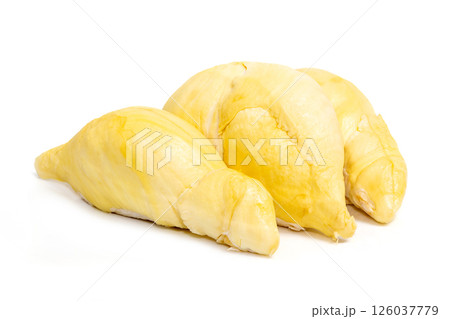 Mon Thong Durian is a signature Thai fruit known for its distinct smell and creamy sweet taste isolated on white background 126037779