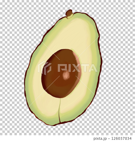 Avocado illustration drawn with an oil brush Clip art Illustration Transparent background PNG 126037834