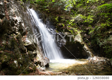 大島の滝（愛知県新城市　東海自然歩道） 126038080