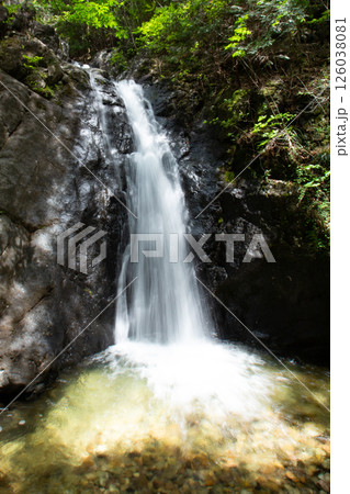 大島の滝（愛知県新城市　東海自然歩道） 126038081