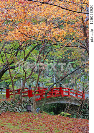 大寧寺の紅葉 大寧寺の紅葉 126038926