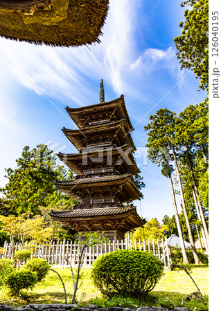 【新潟県_妙宣寺】新潟県内に現存する唯一の『五重塔』 春編 　4月 126040195