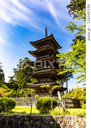 【新潟県_妙宣寺】新潟県内に現存する唯一の『五重塔』 春編 　4月 126040199