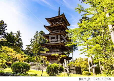 【新潟県_妙宣寺】新潟県内に現存する唯一の『五重塔』 春編 　4月 126040200