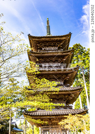 【新潟県_妙宣寺】新潟県内に現存する唯一の『五重塔』 春編 　4月 126040202