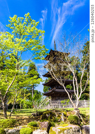【新潟県_妙宣寺】新潟県内に現存する唯一の『五重塔』 春編 4月 【新潟県_妙宣寺】新潟県内に現存する唯一の『五重塔』 春編 4月 126040203