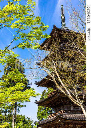 【新潟県_妙宣寺】新潟県内に現存する唯一の『五重塔』 春編 4月 【新潟県_妙宣寺】新潟県内に現存する唯一の『五重塔』 春編 4月 126040204