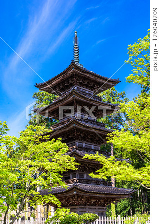 【新潟県_妙宣寺】新潟県内に現存する唯一の『五重塔』 春編 　4月 126040209