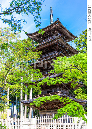 【新潟県_妙宣寺】新潟県内に現存する唯一の『五重塔』 春編 　4月 126040214
