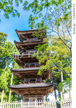 【新潟県_妙宣寺】新潟県内に現存する唯一の『五重塔』 春編 　4月 126040215