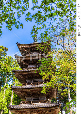 【新潟県_妙宣寺】新潟県内に現存する唯一の『五重塔』 春編 4月 【新潟県_妙宣寺】新潟県内に現存する唯一の『五重塔』 春編 4月 126040217