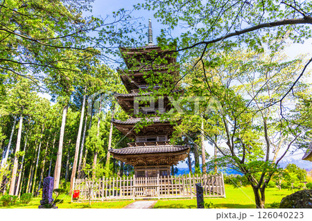 【新潟県_妙宣寺】新潟県内に現存する唯一の『五重塔』 春編 4月 【新潟県_妙宣寺】新潟県内に現存する唯一の『五重塔』 春編 4月 126040223