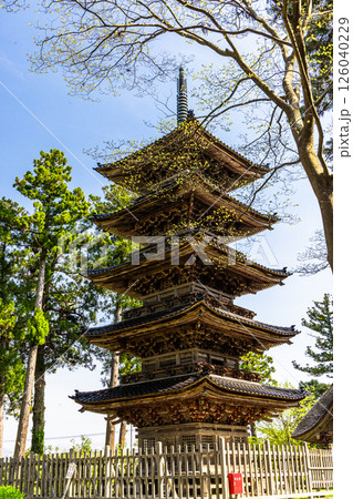 【新潟県_妙宣寺】新潟県内に現存する唯一の『五重塔』 春編 4月 【新潟県_妙宣寺】新潟県内に現存する唯一の『五重塔』 春編 4月 126040229