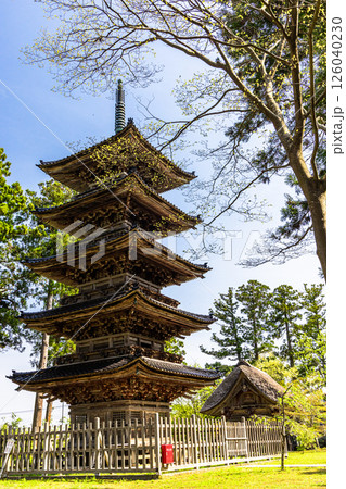 【新潟県_妙宣寺】新潟県内に現存する唯一の『五重塔』 春編 4月 【新潟県_妙宣寺】新潟県内に現存する唯一の『五重塔』 春編 4月 126040230