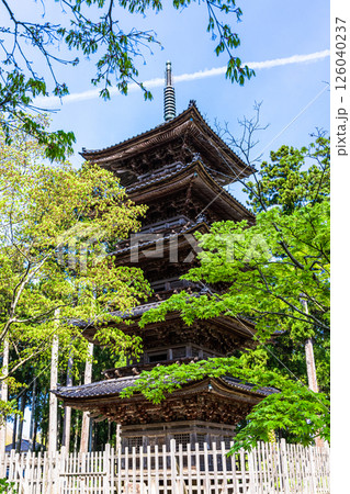 【新潟県_妙宣寺】新潟県内に現存する唯一の『五重塔』 春編 　4月 126040237