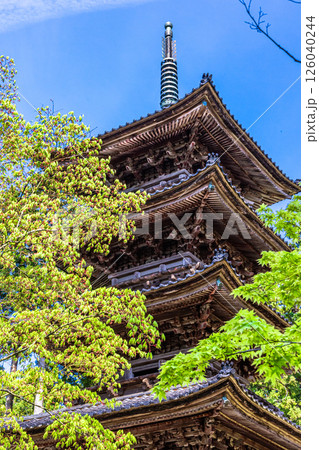 【新潟県_妙宣寺】新潟県内に現存する唯一の『五重塔』 春編 4月 【新潟県_妙宣寺】新潟県内に現存する唯一の『五重塔』 春編 4月 126040244