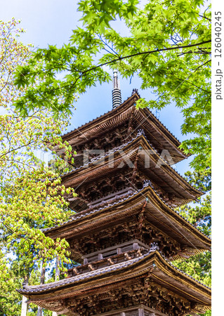 【新潟県_妙宣寺】新潟県内に現存する唯一の『五重塔』 春編 4月 【新潟県_妙宣寺】新潟県内に現存する唯一の『五重塔』 春編 4月 126040245