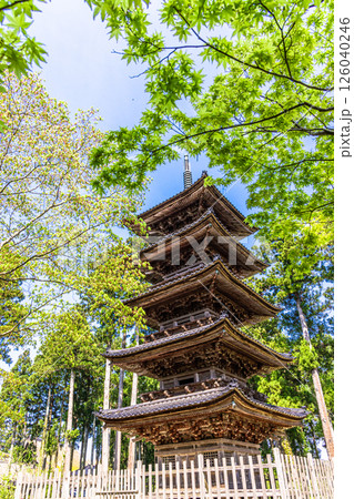 【新潟県_妙宣寺】新潟県内に現存する唯一の『五重塔』 春編 　4月 126040246