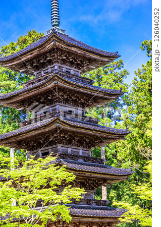 【新潟県_妙宣寺】新潟県内に現存する唯一の『五重塔』 春編 4月 【新潟県_妙宣寺】新潟県内に現存する唯一の『五重塔』 春編 4月 126040252