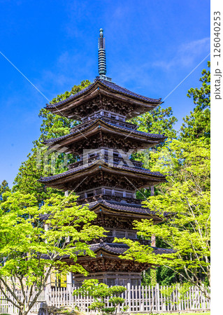 【新潟県_妙宣寺】新潟県内に現存する唯一の『五重塔』 春編 4月 【新潟県_妙宣寺】新潟県内に現存する唯一の『五重塔』 春編 4月 126040253