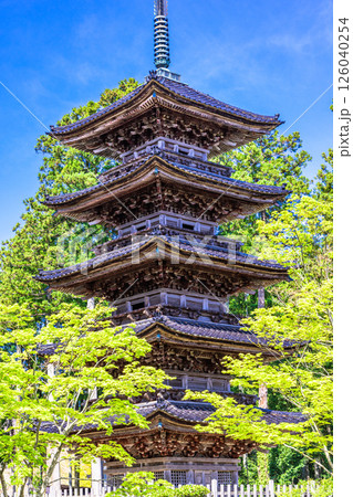【新潟県_妙宣寺】新潟県内に現存する唯一の『五重塔』 春編 　4月 126040254