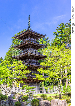 【新潟県_妙宣寺】新潟県内に現存する唯一の『五重塔』 春編 　4月 126040255