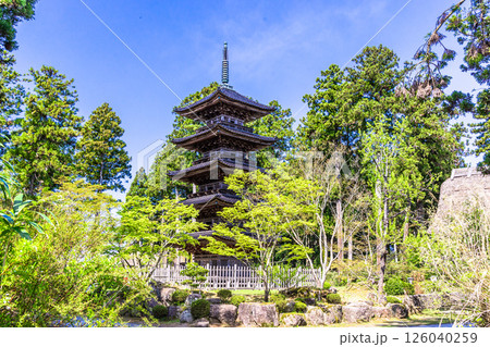 【新潟県_妙宣寺】新潟県内に現存する唯一の『五重塔』 春編 　4月 126040259