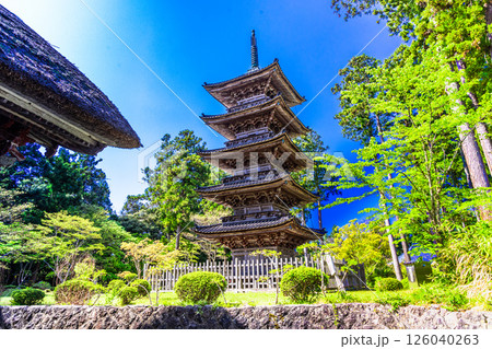 【新潟県_妙宣寺】新潟県内に現存する唯一の『五重塔』 春編 4月 【新潟県_妙宣寺】新潟県内に現存する唯一の『五重塔』 春編 4月 126040263
