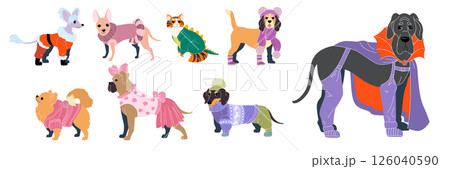 Dog cloth. Pets in winter clothing. Accessory dress. Doggy costume. Corgi shoes and coat for cold season. Apparel for friendly domestic animals. Sweater and jacket for cats. Vector canine clothes set 126040590