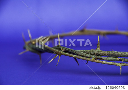 A rustic crown of thorns laid on purple cloth reminds us of Christ suffering and sacrifice. A rustic crown of thorns laid on purple cloth reminds us of Christ suffering and sacrifice. 126040698
