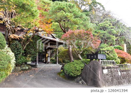 湯河原町 老舗温泉宿の藤田屋と紅葉 湯河原町 老舗温泉宿の藤田屋と紅葉 126041394