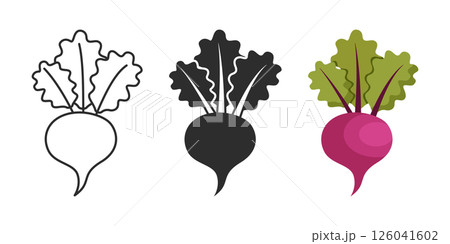 Beetroot vegetable with leaves icon set collection in flat style. Beet plant vector illustration on isolated background. Healthy food sign business concept. 126041602