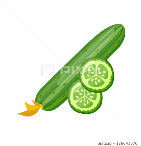 Cucumber vegetable icon in flat style. Gherkin plant vector illustration on isolated background. Healthy food sign business concept. Cucumber vegetable icon in flat style. Gherkin plant vector illustration on isolated background. Healthy food sign business concept. 126041670