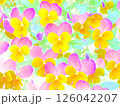 【春】色とりどりのパンジー 126042207