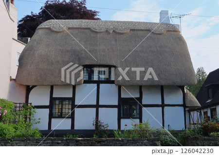 チェルトナム・プレストベリーの茅葺屋根の家 チェルトナム・プレストベリーの茅葺屋根の家 126042230