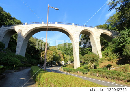 神奈川県・厚木市・七沢森林公園・森のかけはし 神奈川県・厚木市・七沢森林公園・森のかけはし 126042753