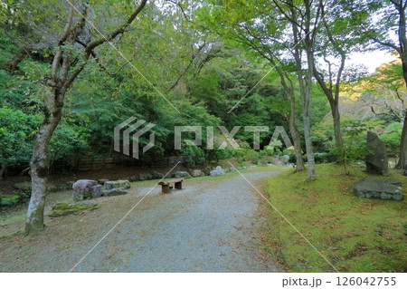 神奈川県・厚木市・七沢森林公園 126042755