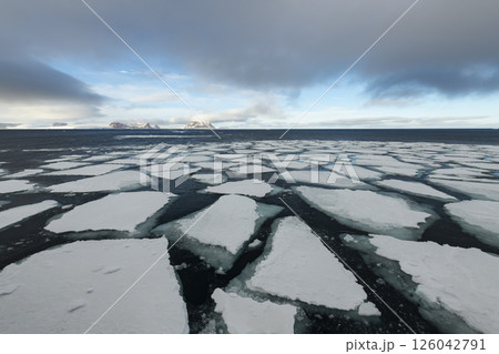 Sea ice in the Barents Sea near Franz Josef Land in summer Sea ice in the Barents Sea near Franz Josef Land in summer 126042791