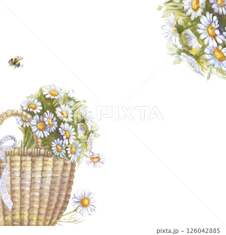 A square summer frame with a basket, a bouquet of daisies and a small bumblebee, hand-drawn. A watercolor template for your design. Empty space for insertion. Gardening. Farming. Picnic. Outdoor 126042885