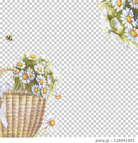 A square summer frame with a basket, a bouquet of daisies and a small bumblebee, hand-drawn. A watercolor template for your design. Empty space for insertion. Gardening. Farming. Picnic. Outdoor A square summer frame with a basket, a bouquet of daisies and a small bumblebee, hand-drawn. A watercolor template for your design. Empty space for insertion. Gardening. Farming. Picnic. Outdoor 126042885