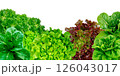 Frame set of lettuce leaves isolated on a white background. 126043017