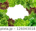 Frame set of lettuce leaves isolated on a white background. 126043018