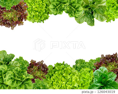 Frame set of lettuce leaves isolated on a white background. Frame set of lettuce leaves isolated on a white background. 126043019
