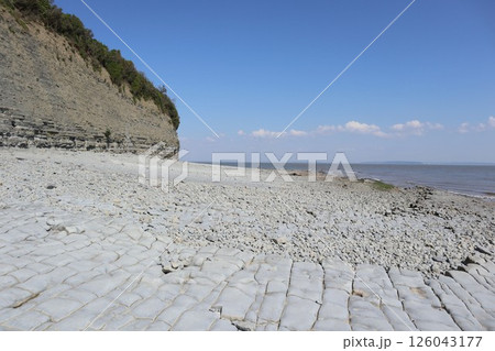 ウェールズ・カーディフ、ペナース・クリフ恐竜の足跡 ウェールズ・カーディフ、ペナース・クリフ恐竜の足跡 126043177