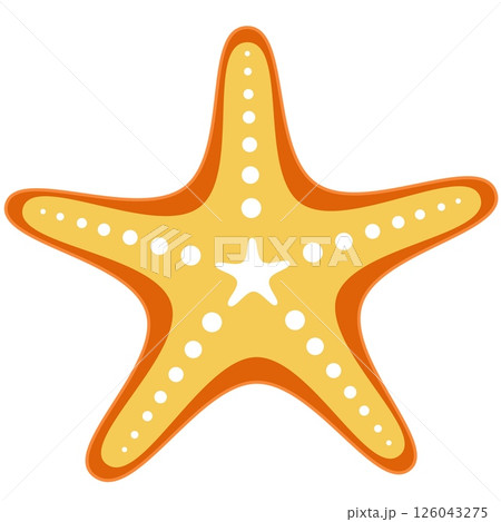 Sea star vector starfish isolated icon on white Sea star vector starfish isolated icon on white 126043275